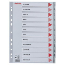 Regiszter, műanyag, A4, Jan-Dec, ESSELTE, szürke