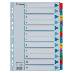 Regiszter, karton, A4, 1-12, ESSELTE "Mylar" Regiszter, karton, A4, 1-12, ESSELTE "Mylar"