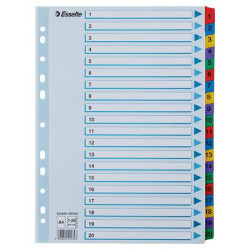 Regiszter, karton, A4, 1-20, ESSELTE "Mylar" Regiszter, karton, A4, 1-20, ESSELTE "Mylar"