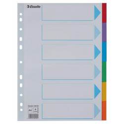 Regiszter, karton, A4, 6 részes, írható előlappal, ESSELTE "Standard", színes