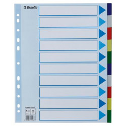 Regiszter, műanyag, A4 Maxi, 10 részes, ESSELTE