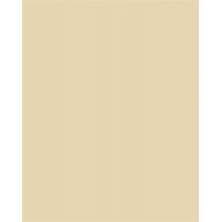 Dekorkarton, 2 oldalas, 50x70cm, 220 g, 10 lap, FOLIA, bézs Dekorkarton, 2 oldalas, 50x70cm, 220 g, 10 lap, FOLIA, bézs