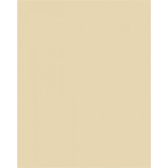 Dekorkarton, 2 oldalas, 50x70cm, 220 g, 10 lap, FOLIA, bézs