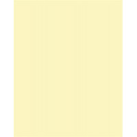 Dekorkarton, 2 oldalas, 50x70cm, 220 g, 10 lap, FOLIA, szalmasárga Dekorkarton, 2 oldalas, 50x70cm, 220 g, 10 lap, FOLIA, szalmasárga