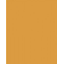Dekorkarton, 2 oldalas, 50x70cm, 220 g, 10 lap, FOLIA, okkersárga