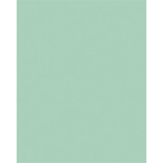 Dekorkarton, 2 oldalas, 50x70cm, 220 g, 10 lap, FOLIA, menta