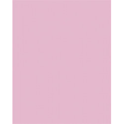 Dekorkarton, 2 oldalas, 50x70cm, 220 g, 10 lap, FOLIA, halvány rózsaszín
