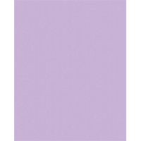 Dekorkarton, 2 oldalas, 50x70cm, 220 g, 10 lap, FOLIA, orgonalila