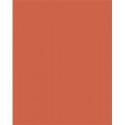 Dekorkarton, 2 oldalas, 50x70cm, 220 g, 10 lap, FOLIA, narancssárga