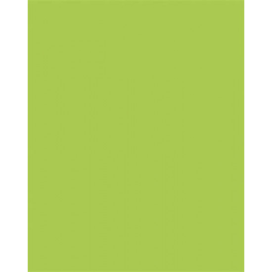 Dekorkarton, 2 oldalas, 50x70cm, 220 g, 10 lap, FOLIA, tavaszzöld