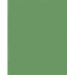 Dekorkarton, 2 oldalas, 50x70cm, 220 g, 10 lap, FOLIA, mohazöld