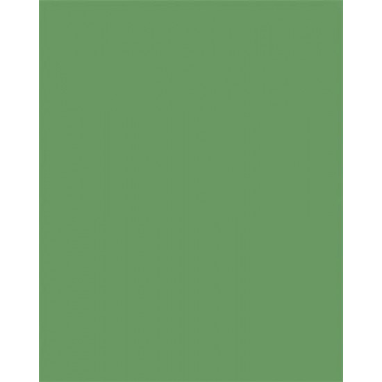 Dekorkarton, 2 oldalas, 50x70cm, 220 g, 10 lap, FOLIA, mohazöld