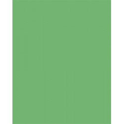 Dekorkarton, 2 oldalas, 50x70cm, 220 g, 10 lap, FOLIA, smaragdzöld