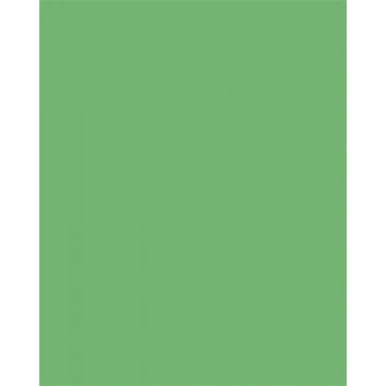 Dekorkarton, 2 oldalas, 50x70cm, 220 g, 10 lap, FOLIA, smaragdzöld