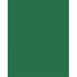 Dekorkarton, 2 oldalas, 50x70cm, 220 g, 10 lap, FOLIA, fenyőzöld