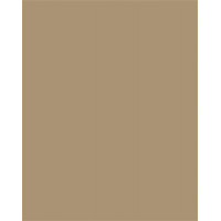 Dekorkarton, 2 oldalas, 50x70cm, 220 g, 10 lap, FOLIA, őzbarna Dekorkarton, 2 oldalas, 50x70cm, 220 g, 10 lap, FOLIA, őzbarna