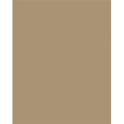 Dekorkarton, 2 oldalas, 50x70cm, 220 g, 10 lap, FOLIA, őzbarna