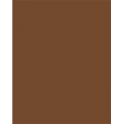 Dekorkarton, 2 oldalas, 50x70cm, 220 g, 10 lap, FOLIA, csokoládé barna