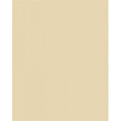 Dekorkarton, 2 oldalas, A4, 220 g, 100 lap, FOLIA, chamois