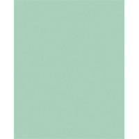 Dekorkarton, 2 oldalas, A4, 220 g, 100 lap, FOLIA, menta Dekorkarton, 2 oldalas, A4, 220 g, 100 lap, FOLIA, menta