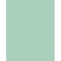 Dekorkarton, 2 oldalas, A4, 220 g, 100 lap, FOLIA, menta