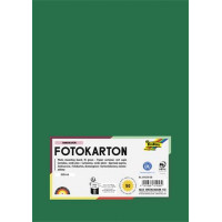 Dekorkarton, A4, 300 g, 50 lap, FOLIA, fenyőzöld