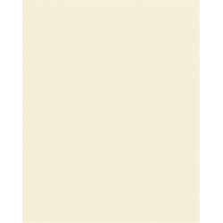 Színes papír, A3, 130 g, 50 lap, FOLIA, bézs