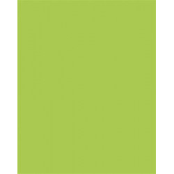 Színes papír, A3, 130 g, 50 lap, FOLIA, tavaszzöld