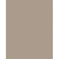 Színes papír, A3, 130 g, 50 lap, FOLIA, cappuccino