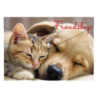 Irattartó tasak, A4 PP, patentos, 180 mikron, PANTA PLAST "Friendship" Irattartó tasak, A4 PP, patentos, 180 mikron, PANTA PLAST "Friendship"