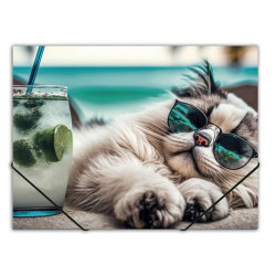 Gumis mappa, 15 mm, PP, A4, PANTA PLAST "Chillout cat"