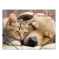 Gumis mappa, 15 mm, PP, A4, PANTA PLAST "Friendship" Gumis mappa, 15 mm, PP, A4, PANTA PLAST "Friendship"