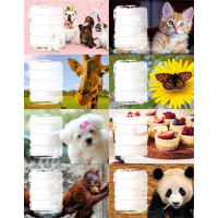 Füzetcímke, 24 db, PANTA PLAST, "Girls" Füzetcímke, 24 db, PANTA PLAST, "Girls"