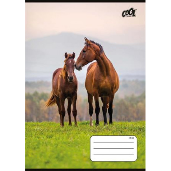 Füzet, tűzött, A5, vonalas, 32 lap, 1. osztály, COOL BY VICTORIA "Free Spirit", "14-32"