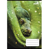 Füzet, tűzött, A5, vonalas, 32 lap, 1. osztály, COOL BY VICTORIA, "Animals", 14-32 Füzet, tűzött, A5, vonalas, 32 lap, 1. osztály, COOL BY VICTORIA, "Animals", 14-32