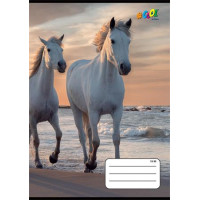 Füzet, tűzött, A5, vonalas, 32 lap, 3. osztály, COOL BY VICTORIA, "Horses", "12-32" Füzet, tűzött, A5, vonalas, 32 lap, 3. osztály, COOL BY VICTORIA, "Horses", "12-32"