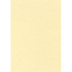 Előnyomott papír, A4, 95 g, pergamen hatású, APLI, pezsgő