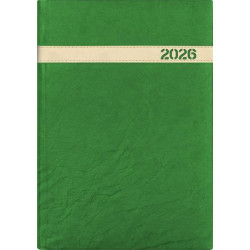 Naptár, tervező, B5, heti, DAYLINER, "The Boss", zöld