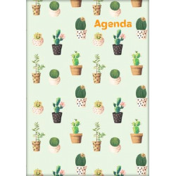 Naptár, tervező, A5, heti, DAYLINER, "Colors", Cactus