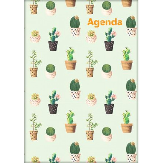 Naptár, tervező, A5, heti, DAYLINER, "Colors", Cactus Naptár, tervező, A5, heti, DAYLINER, "Colors", Cactus