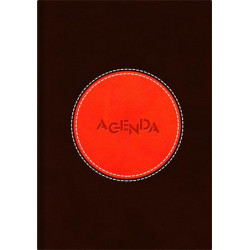 Naptár, tervező, A5, napi, DAYLINER "Central", barna-narancs