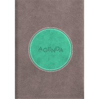 Naptár, tervező, A5, napi, DAYLINER "Central", szürke-türkiz