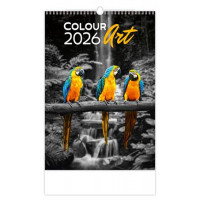 Naptár, fali, DAYLINER "Colour Art"