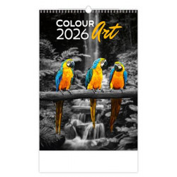 Naptár, fali, DAYLINER "Colour Art"