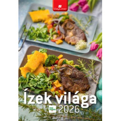 Naptár, fali, DAYLINER "Ízek világa - Mindmegette"