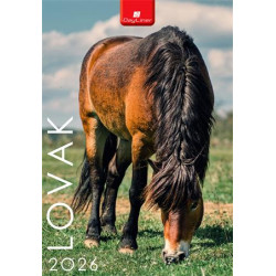 Naptár, fali, DAYLINER, "Lovak"