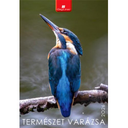 Naptár, fali, DAYLINER, "Természet varázsa"