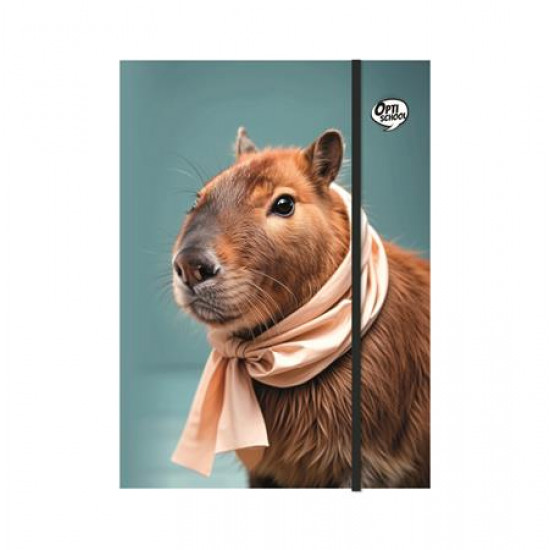 Gumis mappa, karton, A4, OPTISCHOOL "Capybara"