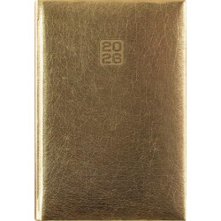 Naptár, tervező, A5, heti, DAYLINER, "Mirror", arany