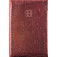 Naptár, tervező, B6, heti, DAYLINER, "Mirror", bronz